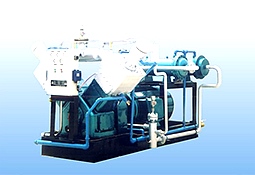 Natural gas chemical compressor