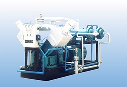 Natural gas chemical compressor