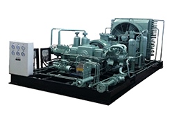 D type natural gas compressor